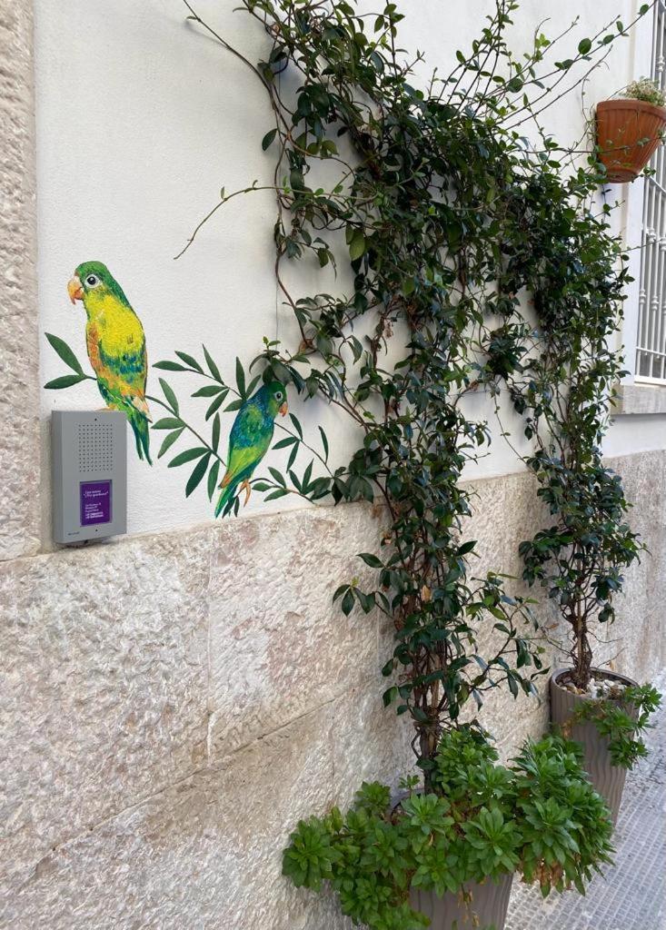 Iris Apartment, Comfort E Stile Nel Cuore Di บิสเชลเย ภายนอก รูปภาพ